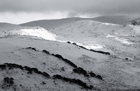 BKW127 Snow Feild, Kosciuszko National Park NSW